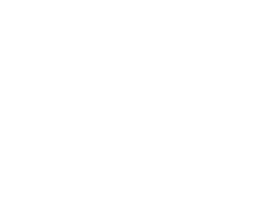 Humanity First UK